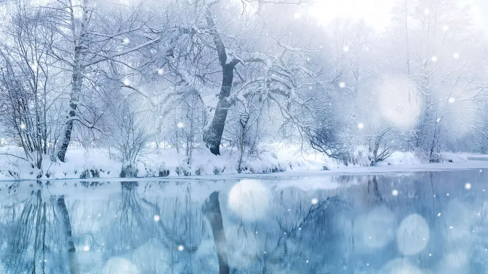 冬日梦幻雪景森林