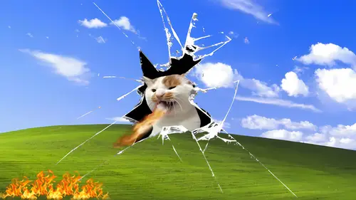 2160x1216 Desktop 视觉艺术 Wallpaper - 破屏而出的喷火猫创意壁纸