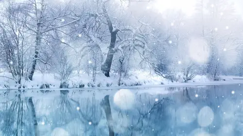 7281x4096 Desktop Wallpaper - 冬日梦幻雪景森林